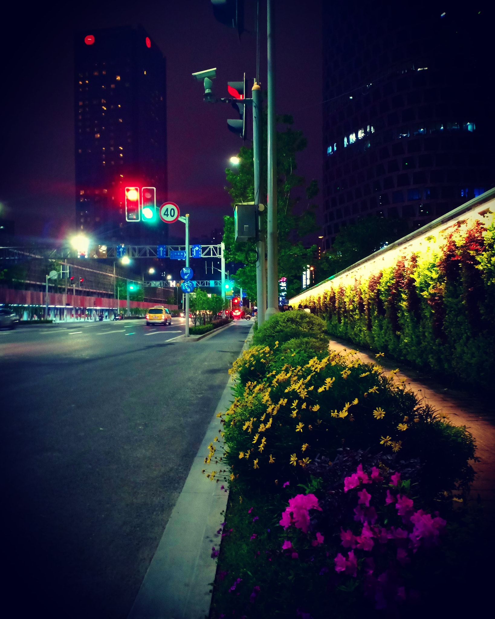 Nên chăng tặng hoa khi miền Trung bão lũ?