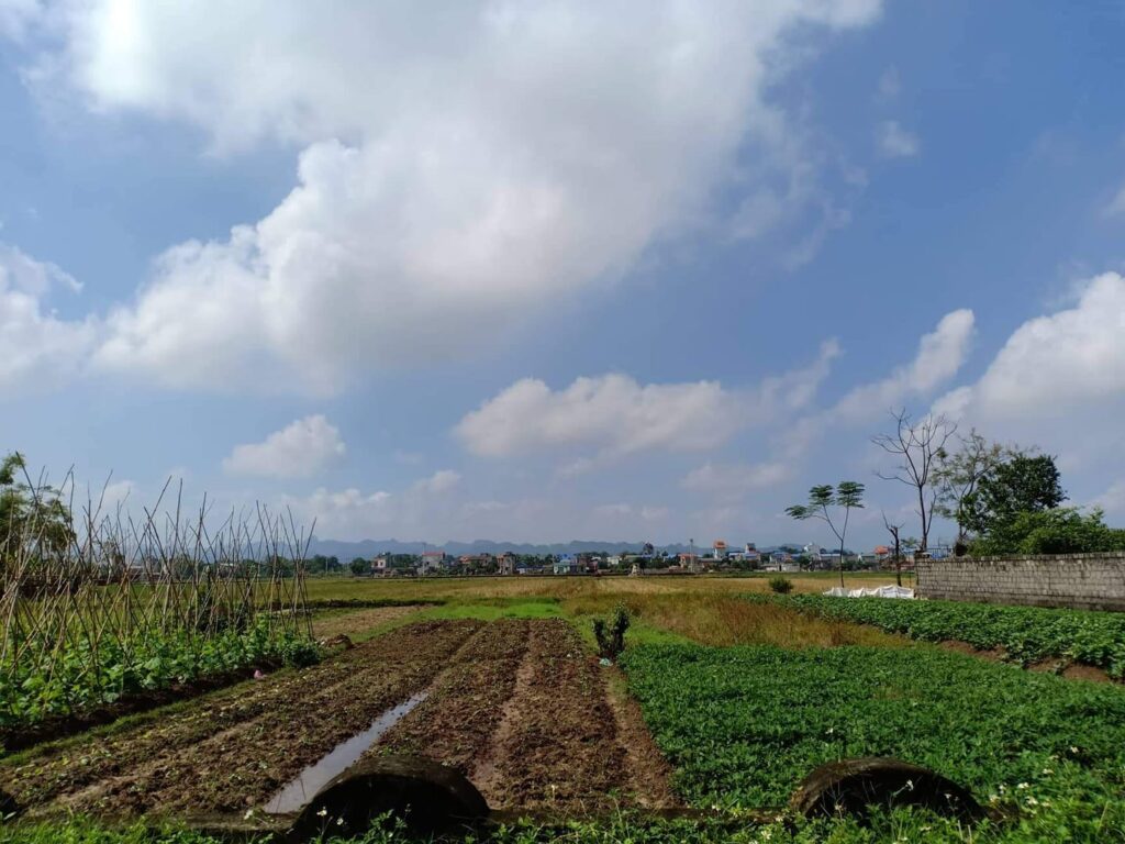 Một nghề cho chín tốt hơn chín nghề