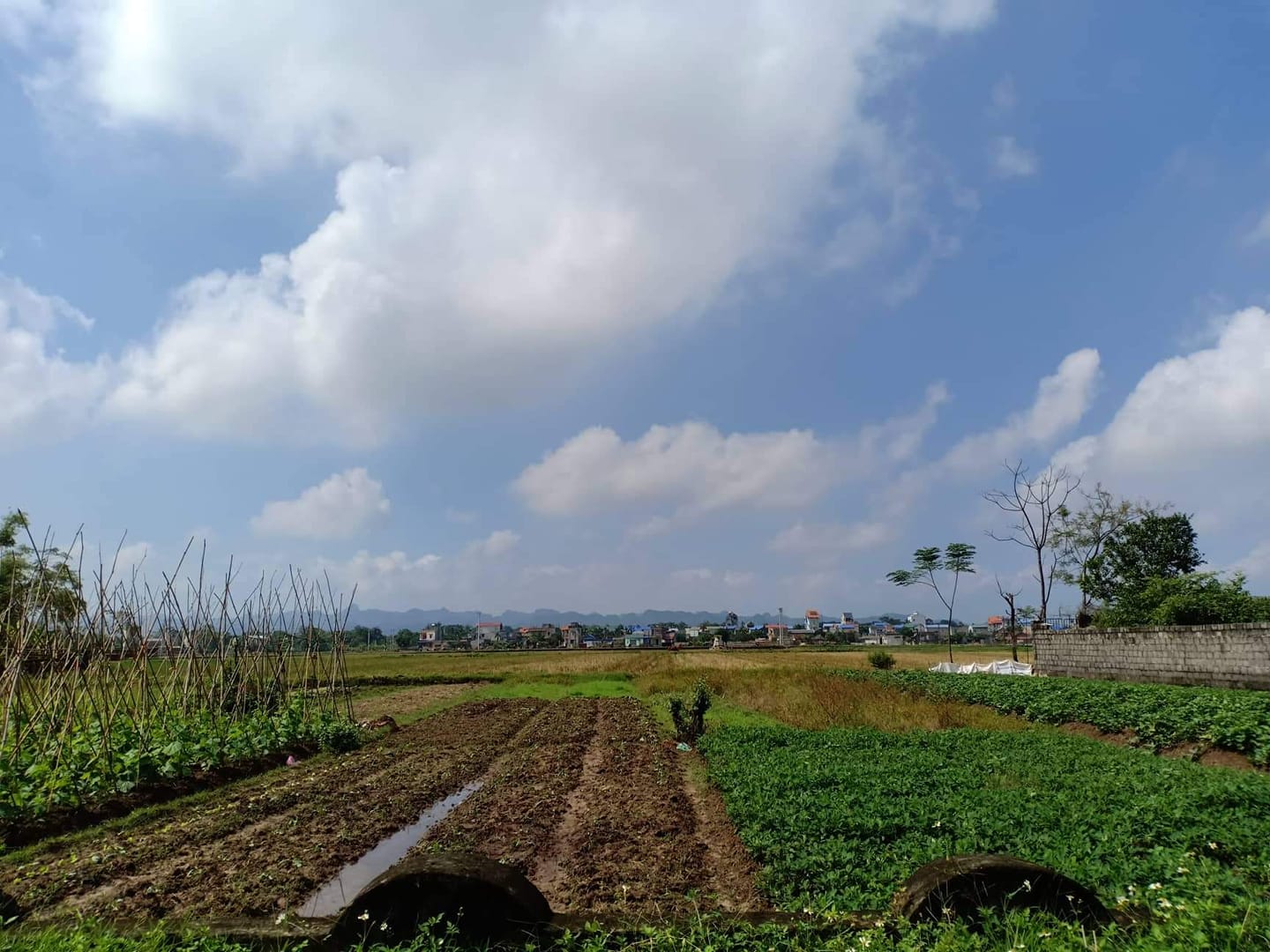 Một nghề cho chín tốt hơn chín nghề